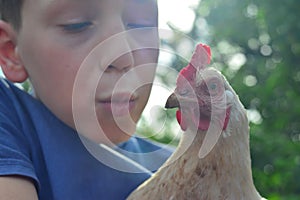 The boy holds a white chicken in his hands and kisses her