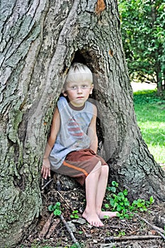 Boy In Hollow Tree