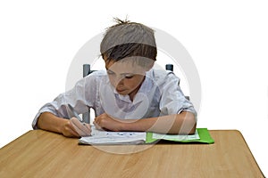 Boy with homework