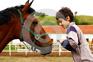 A boy and a horse