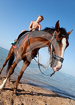 A boy on horseback