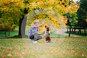 Boy hugging dog and plyaing with in the fall, city park