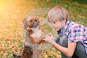 Boy hugging dog and plyaing with in the fall, city park