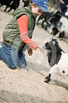 Boy hugging a goat