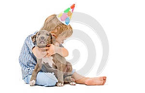 Boy hugs the puppy pitbull