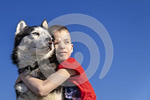 Boy hugs Siberian husky dog on blue sky background.  on blue. Family lifestyle.