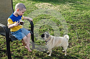 boy ice cream and pug dog