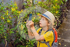 Boy identify plants using the application on a smartphone. augmented reality