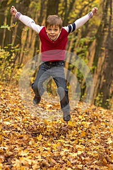 Boy jumping in the outumn forrest