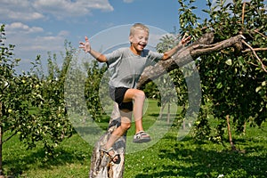 Boy jumping from a tree