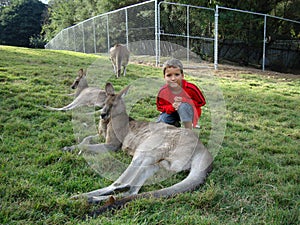 A boy and a kangaroo in a natural park of Australia