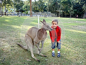 A boy and a kangaroo in a natural park in Australia