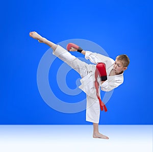 Boy in karategi beats roundhouse kick