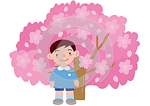 A boy kindergartener in front of a cherry tree in full bloom