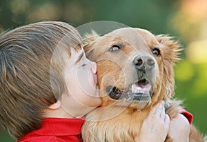 Chico besar el perro 