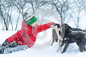 Boy in knitted hat sits in the snow and caress mongrel dog. Teenage boy plays with pets dogs in winter park