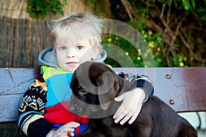 A boy with Labrador puppy