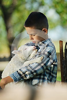 Boy with lamb on the farm