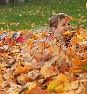 Boy in leaf pile