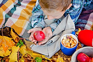 A boy lies on a blanket with an Apple in his hands in an autumn Park. There are a lot of yellow maple leaves around. Picnic in