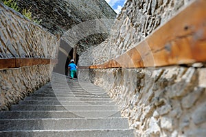 The back of a 6-years blond boy