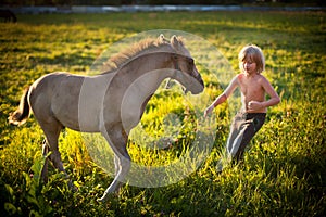 Boy with little horse