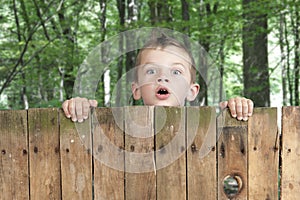 Boy looking from above a fence. Wood landscap