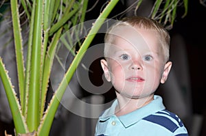 Boy looking at camera on background of palm trees