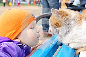 A boy looking at a cat