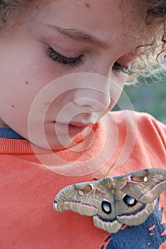 Boy looking at moth