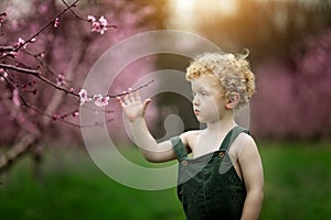 Boy looking at peach tree