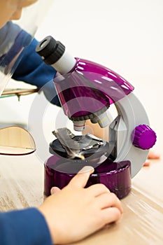 Boy looking through a purple microscope at a bird feather at a children`s science event