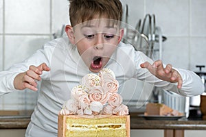 Boy looks at big beautiful cake in surprise and admiration. Child wants to eat the whole cake