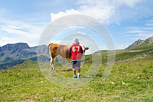 The boy looks at the cow.  Outdoor adventure, wild journey. Summer Travel
