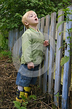 Boy looks through a fence