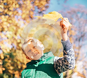 Boy looks on sun light with yellow maple leaf