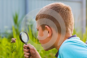 Boy with a magnifying glass