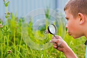 Boy with a magnifying glass