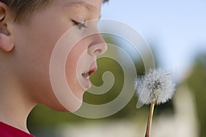 Boy Makes A Wish On A Dandelion