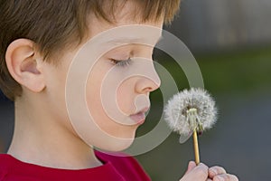 Boy Makes A Wish On A Dandelion