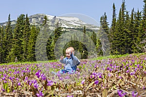 Boy on a meadow in the mountains. Sheregesh, Russia