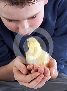 Boy meets chick