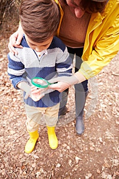 Boy With Mother Examining Insect With Magnifying Glass