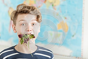 Boy with Mouthful of Lettuce Greens in Classroom photo