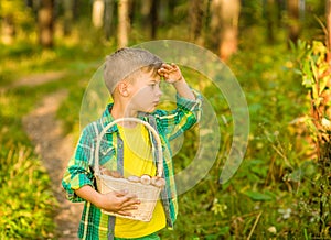 Boy with mushroom searches for the road in the forest