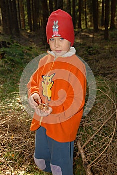 Boy and mushrooms