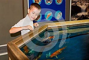 Boy near the aquarium