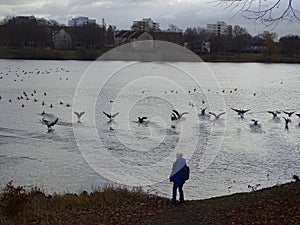 A boy near the lake