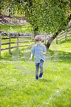 Boy outside picking flowers