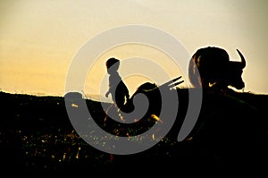 Boy and ox- Lake Inle, Burma (Myanmar)